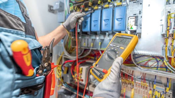 Best Ceiling Fan Installation Electrician  in Hugo, MN
